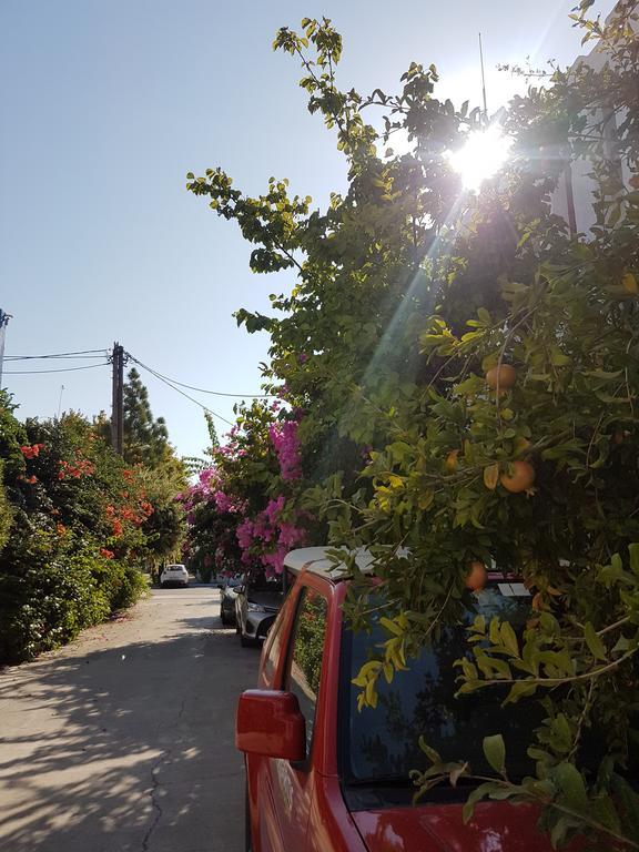 Thalassa Studios Faliraki Exterior foto