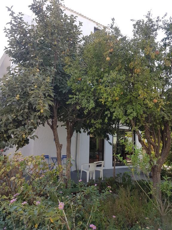 Thalassa Studios Faliraki Exterior foto