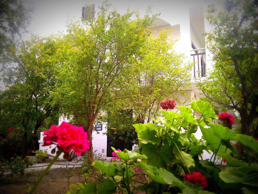 Thalassa Studios Faliraki Exterior foto