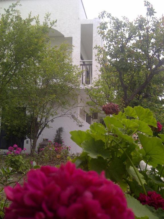 Thalassa Studios Faliraki Exterior foto